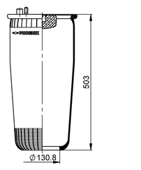 1 DF 19 B-1 NP